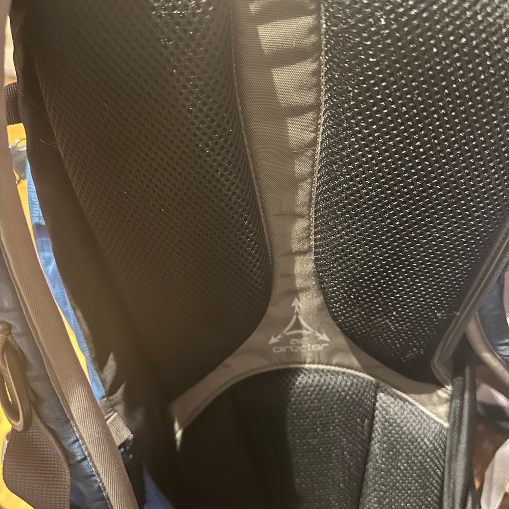 CamelBak Blue and Gray Used RimRunner Backpack - Picture 2 of 8